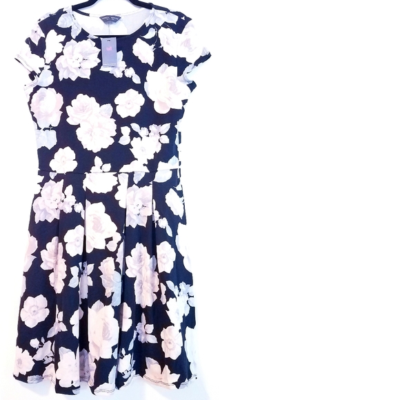 dorothy perkins fit and flare